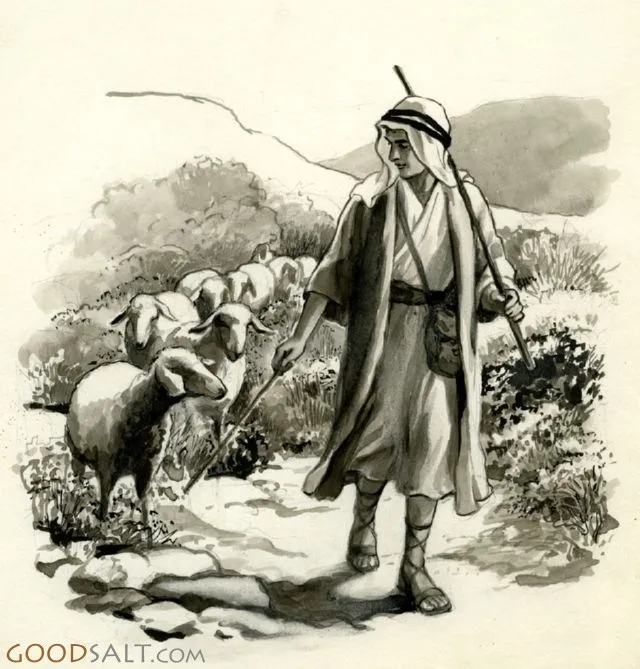 David a Shepherd Boy